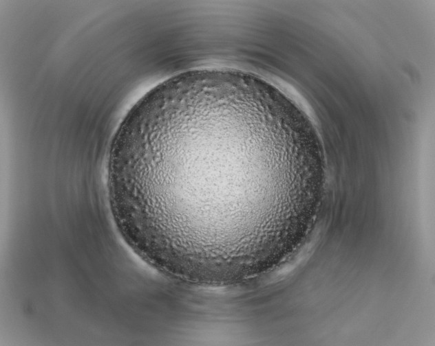 X0000114160855200910221606