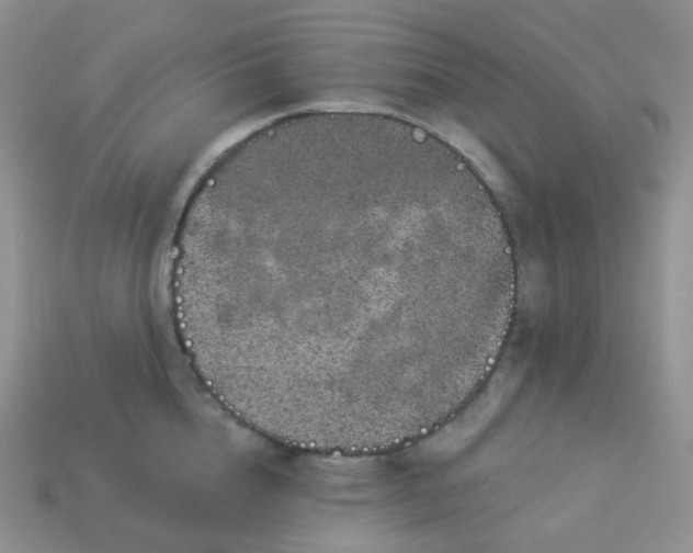 X0000114160856200910221606