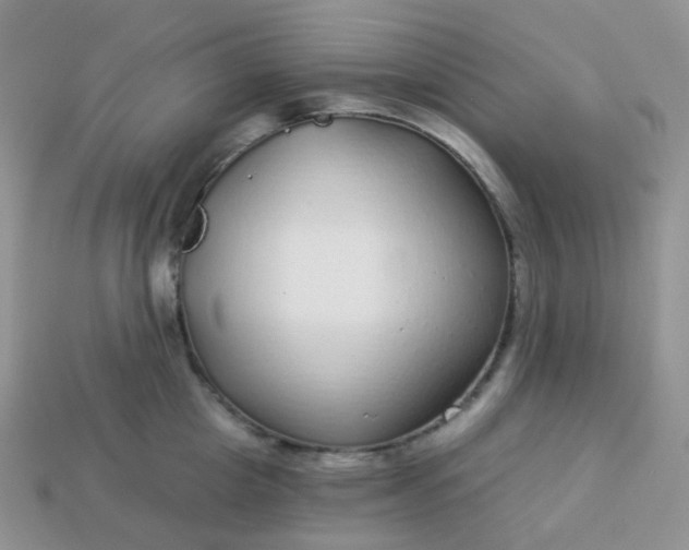 X0000114160857200910221606