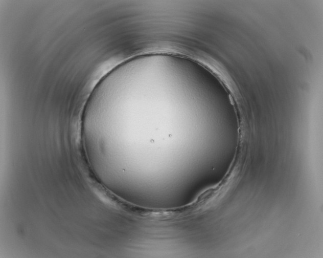 X0000114160858200910221606