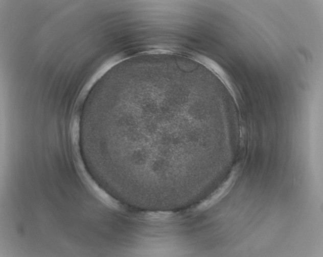 X0000114160859200910221606