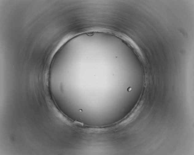 X0000114160860200910221606