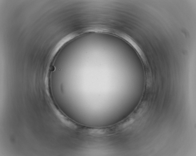 X0000114160861200910221607