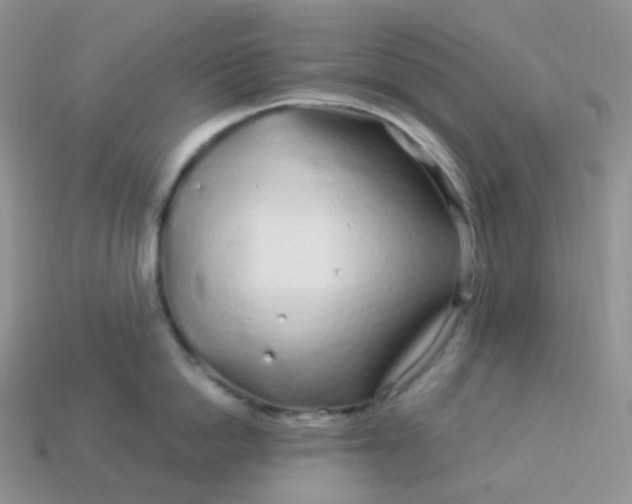 X0000114160862200910221607