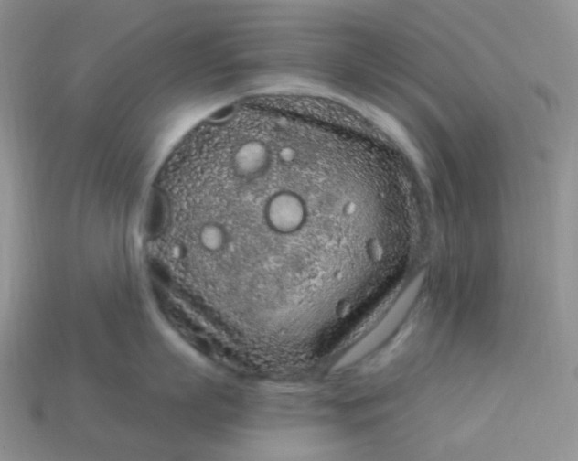 X0000114160863200910221607