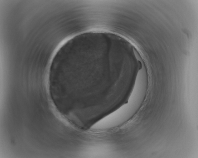 X0000114160864200910221607