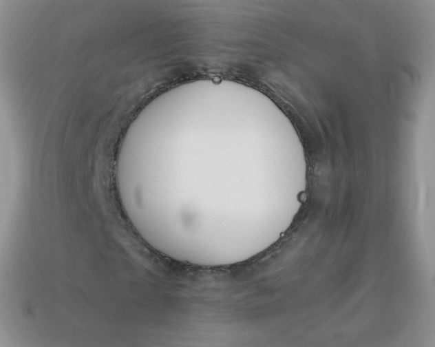 X0000114160865200910221606