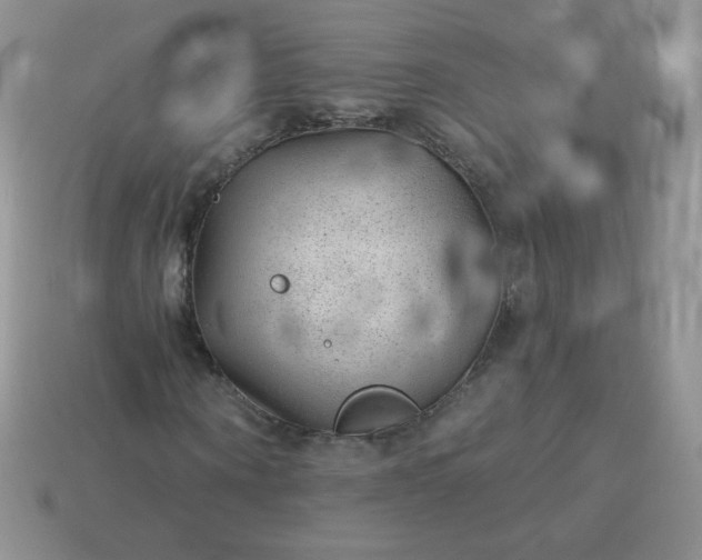 X0000114160866200910221606