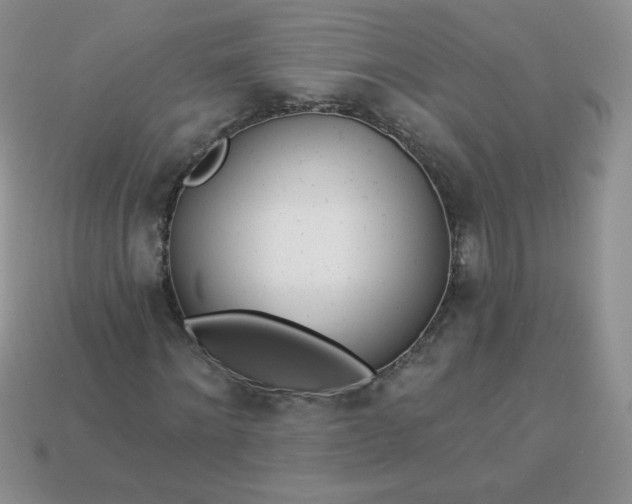 X0000114160868200910221606