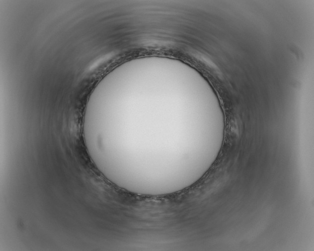 X0000114160869200910221606