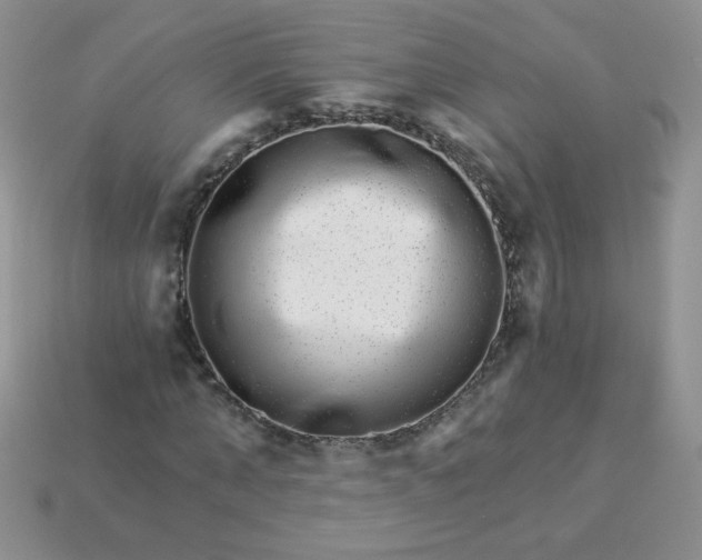 X0000114160870200910221606