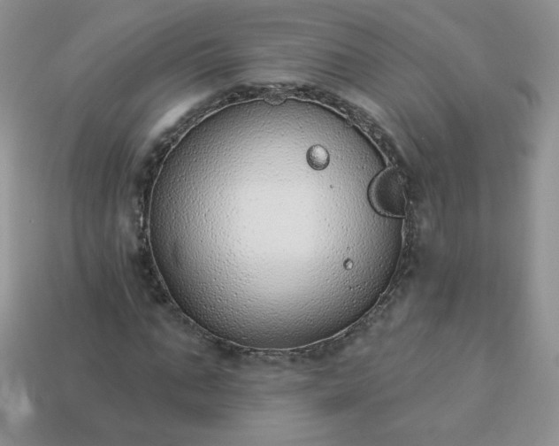 X0000114160871200910221606