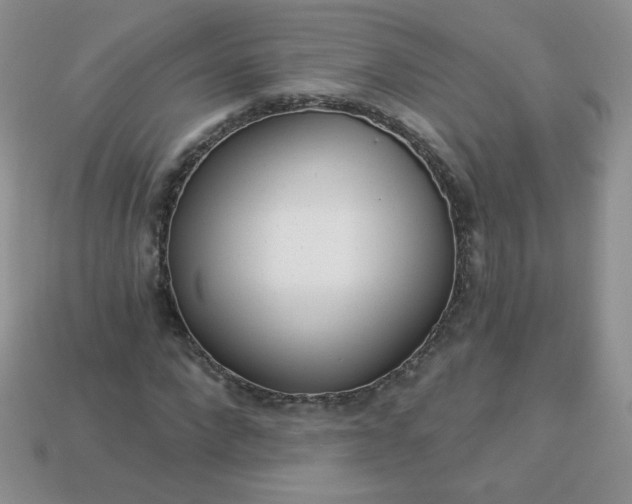 X0000114160872200910221606