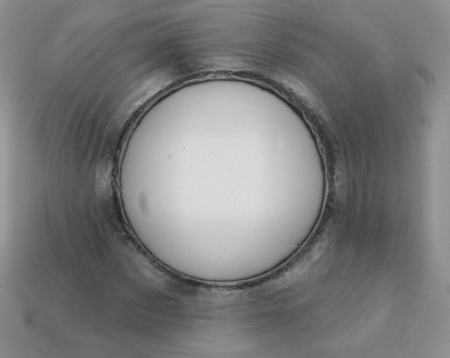 X0000114160873200910221606