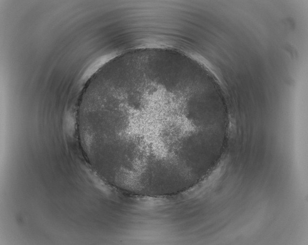 X0000114160874200910221606