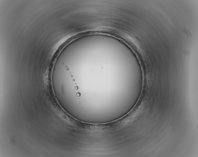 X0000114160875200910221606