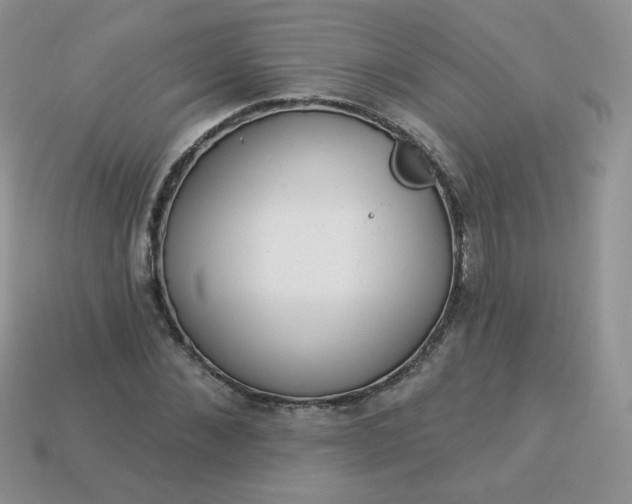 X0000114160876200910221606