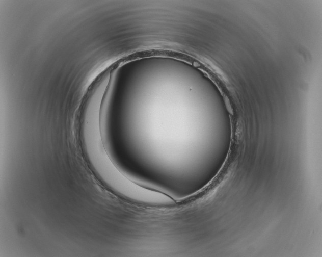 X0000114160877200910221606