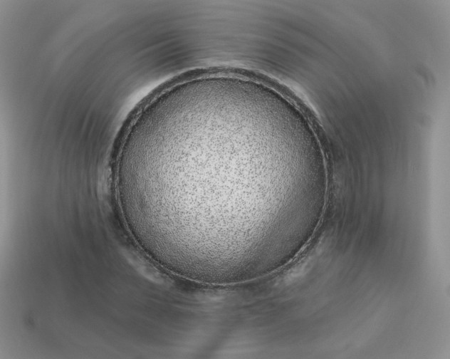 X0000114160879200910221606