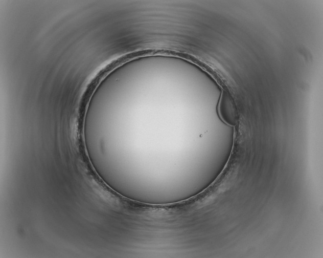 X0000114160880200910221606