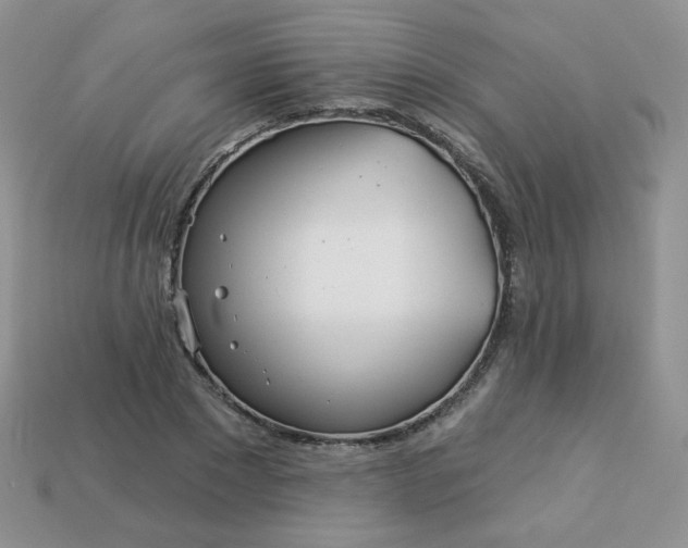 X0000114160881200910221606