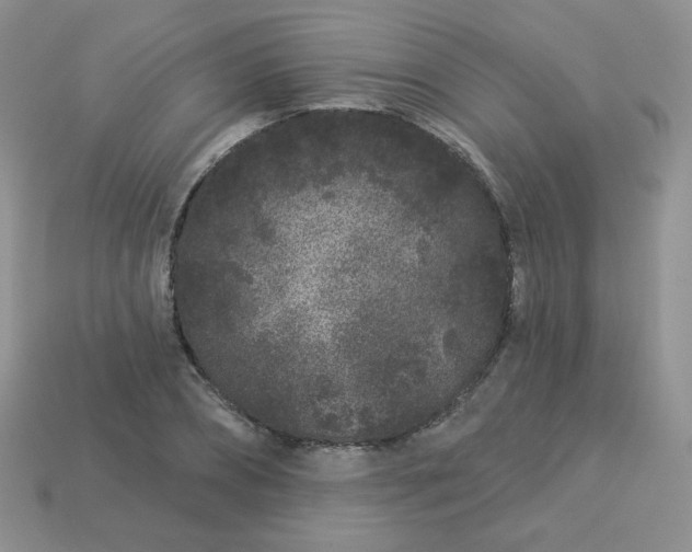 X0000114160882200910221606