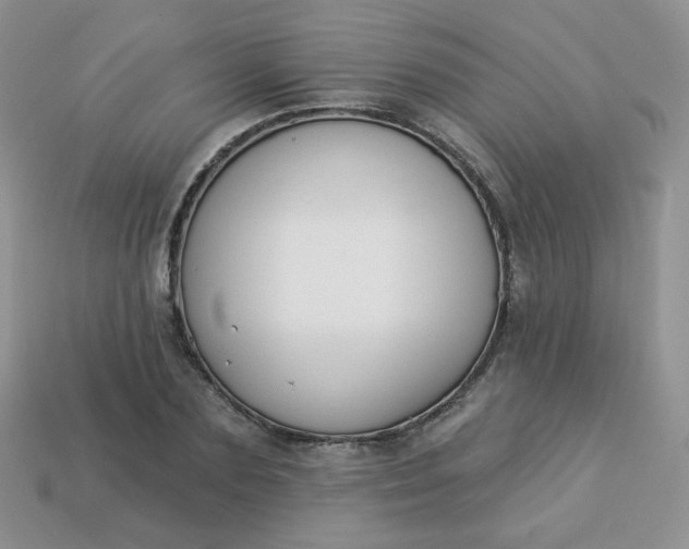 X0000114160883200910221606