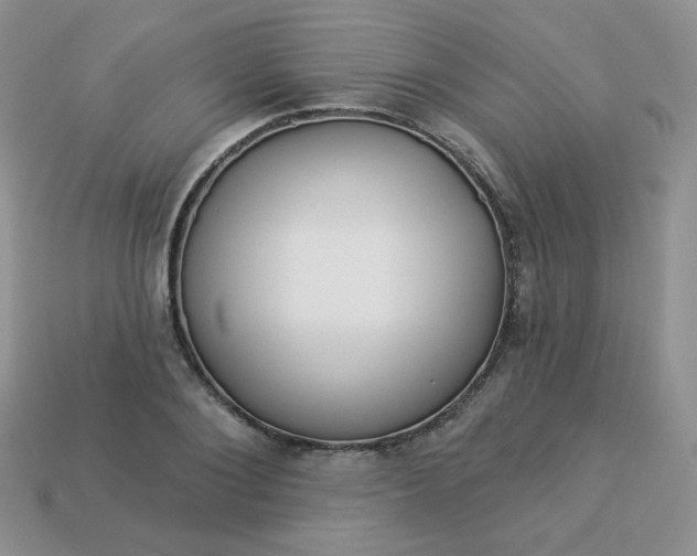 X0000114160884200910221606