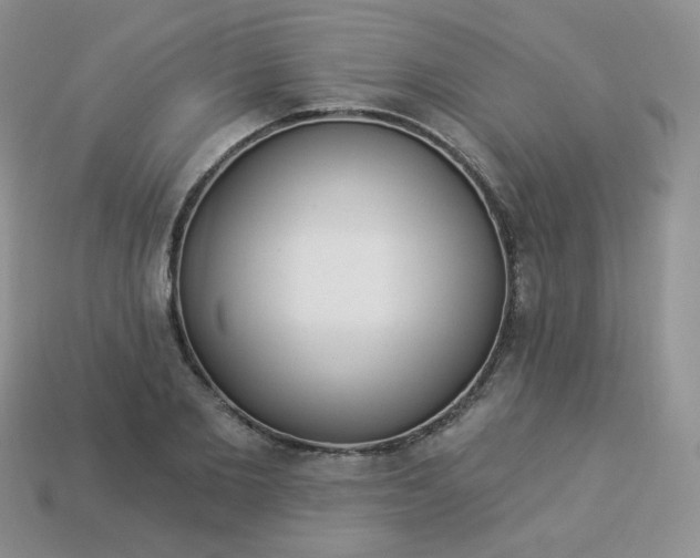 X0000114160885200910221606