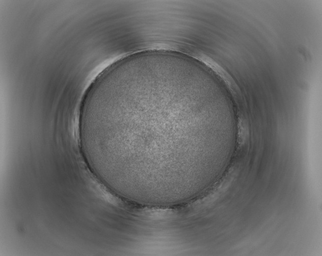 X0000114160886200910221606