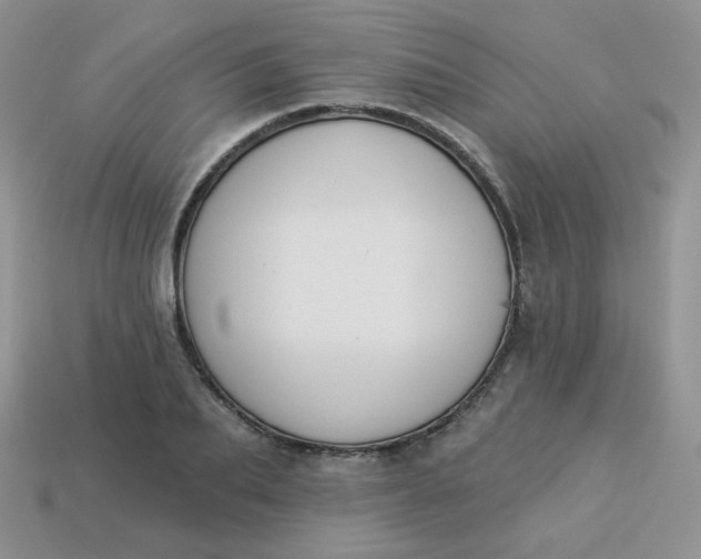 X0000114160887200910221606