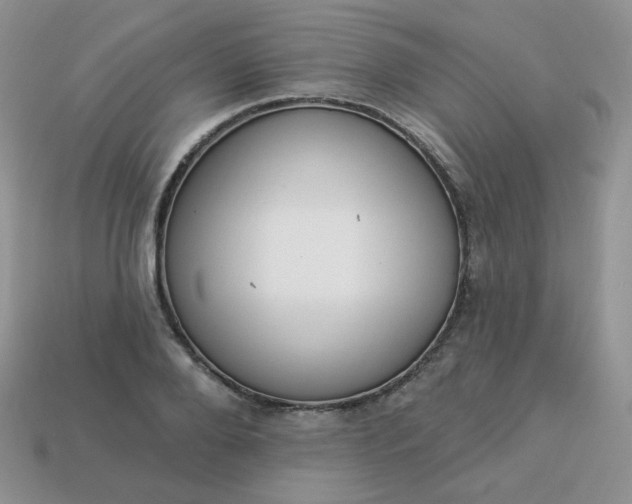 X0000114160888200910221606