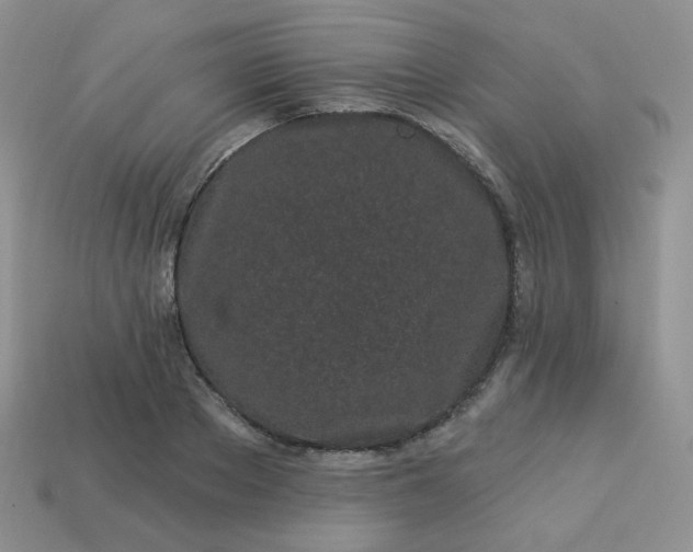 X0000114160889200910221606