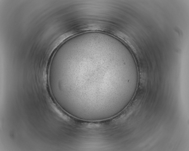 X0000114160890200910221606