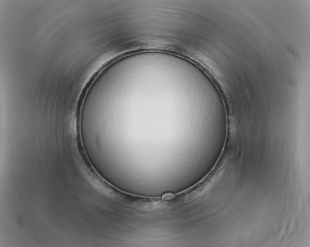 X0000114160891200910221606