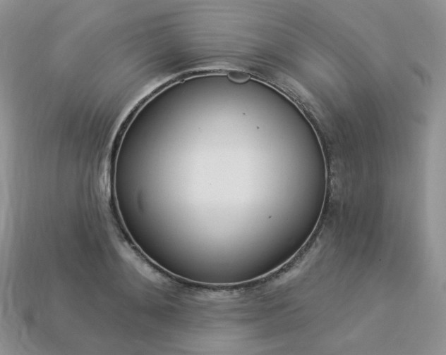 X0000114160892200910221606