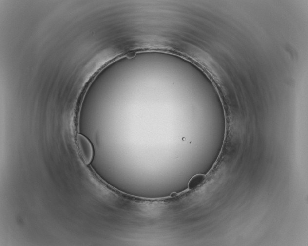 X0000114160893200910221606