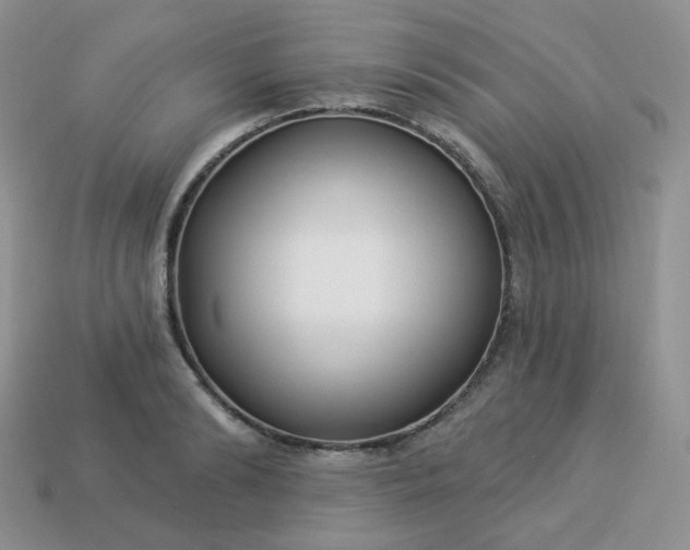 X0000114160894200910221606