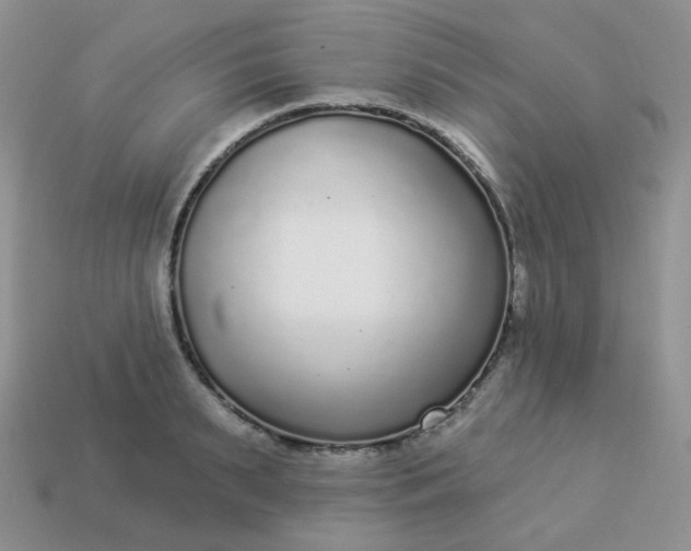 X0000114160895200910221605