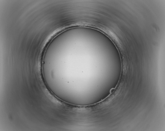 X0000114160896200910221605