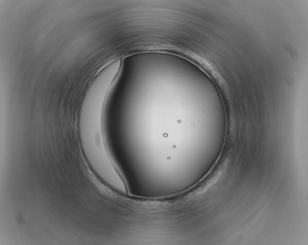 X0000114160897200910221605