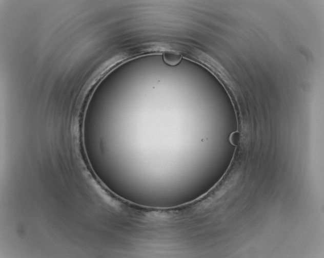 X0000114160898200910221605