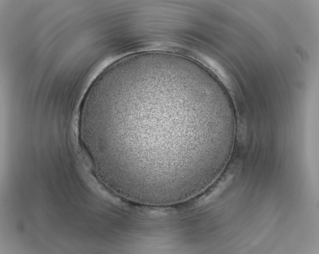 X0000114160899200910221605