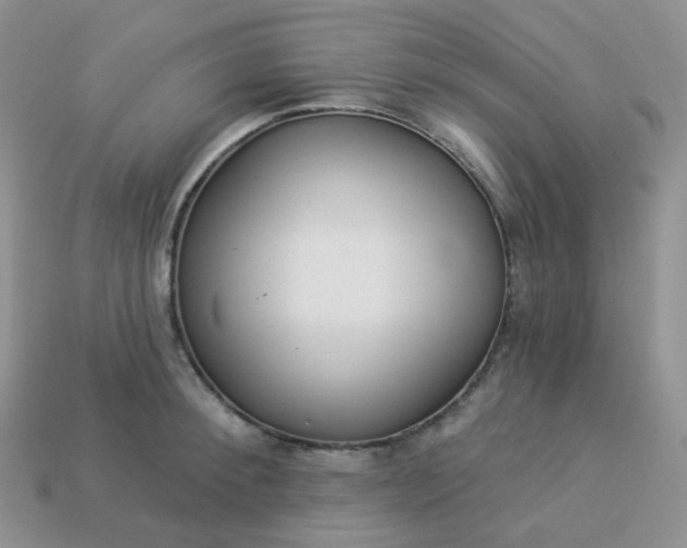 X0000114160900200910221605