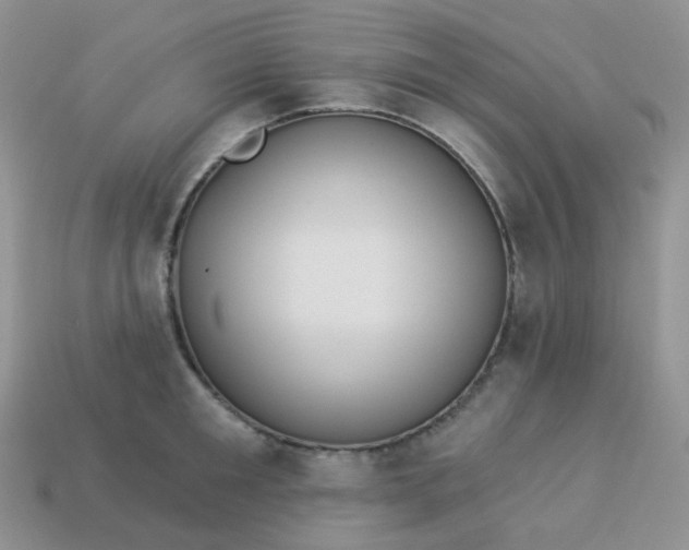 X0000114160901200910221605