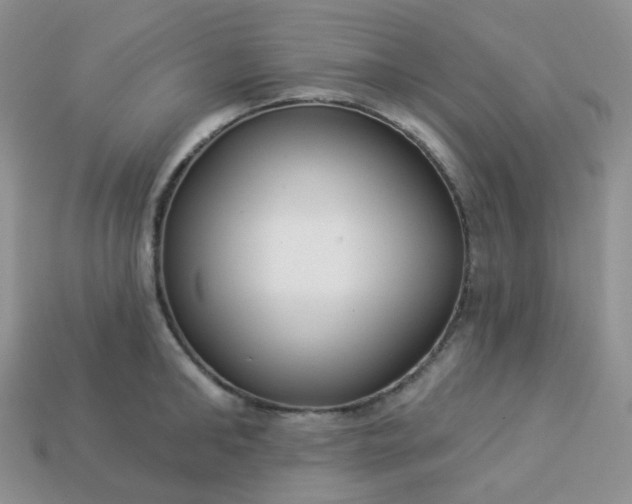 X0000114160902200910221605