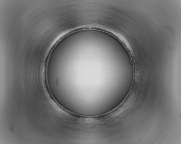 X0000114160903200910221605