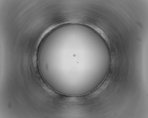 X0000114160904200910221605