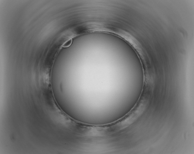 X0000114160905200910221605