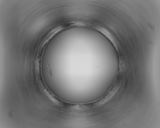 X0000114160906200910221605